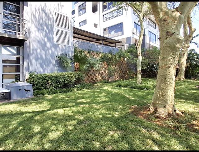 67M² OFFICE FOR SALE IN BALLITO DISTRICT